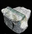 Beryl (Var: Emerald) Crystal in Quartz & Biotite - Bahia, Brazil #44120-1